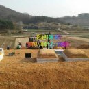 천년장묘