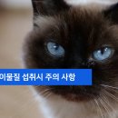 모래내동물병원 이미지