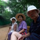 용봉약국 이미지