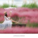 강변체육공원 이미지