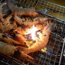 봉무공원야영장 이미지