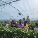 동원태권도장 이미지