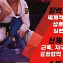 신동주짓수