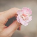 제이지니 - 고양시 일산동구 | 제이지니