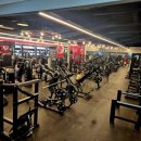 운동의 발견 | 청천동헬스 운동의 새로운 발견, 알유휘트니스 체험 후기