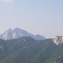 에덴동산 이미지