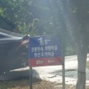 동월계곡펜션 | 동학사 동월 계곡 솔향 한옥 까페펜션 방문과 메뉴 및 솔직 후기!