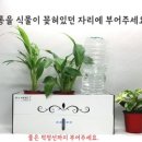 광안1동 행정복지센터 이미지