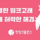 [핫핑크돌핀스 논평] 표류한 밍크고래를 유통 허락한 해경 이미지