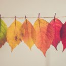 군산태양공인중개사사무소 이미지