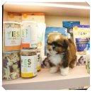 달링동물병원 이미지