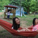 둥지농원 이미지