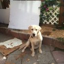 스노우피크게스트하우스 이미지