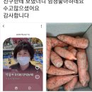 흙당근 이미지