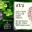 "'관악산둘레길'(1코스) 일부 산책"＜2024.08.09(금)＞ 이미지