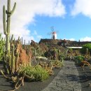 란사로테 이미지