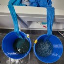 새강토탈케어 이미지