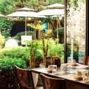 백억하누 이미지