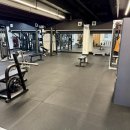 럭키휘트니스 이미지