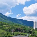 효효 | 양산 블루베리 체험 가능한 한옥카페 효효 방문 후기 (실시간)