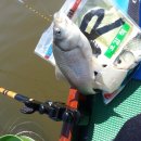 보성강5 이미지