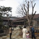 곤지곤지식당 이미지