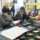 화진산업 2공장 이미지