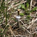 원산농장 이미지