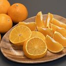 가득농장 | 제주 귤농장 직거래 택배 잘리가득 황금향 선물용 내돈내산 후기