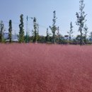 덕진면 복지회관 이미지