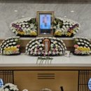 공설묘지 | [시흥 잔디장, 자연장 장지] 정왕동공설묘지 30년 비용, 가족 모신 후기