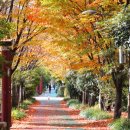 남구보건소 이미지