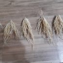 천산해 네이버블로그