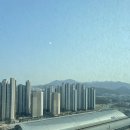 광명족발 | 서울 근교 수영장이 있는 호텔 ‘테이크호텔 광명서울’ 호캉스 솔직 후기