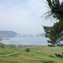 동홍로99번길 이미지