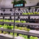 대안팜 주식회사 이미지