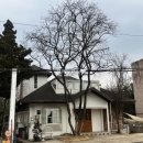 청계산입구역 1번출구 뒤 | 양재 누뗀 청계산입구역 뜨개질 카페 메뉴 주차장