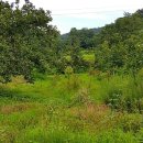 감먹은 토끼 이미지