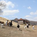 자석목장 이미지