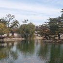 코리아국제행정사사무소 이미지