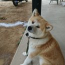 장곡농장 이미지