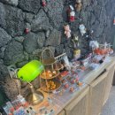 아로목장 | [제주 카페] 제주 산방산 카페 소색채본 유채꽃 개화 상황 &amp; 주차 꿀팁