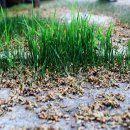 수동농장 이미지