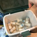 첨단기업5로1R-2 | [인천] 인천 송도 흑돼지 전문 맛집 추천! 가족모임, 단체모임 가기 좋은 고기집 '송바돔' 솔직 후기