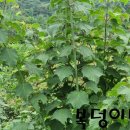 경화농장 이미지