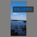 바닷가의추억민박 | 월정리해변 숙소 달빛고운펜션 바닷가 바로 앞 힐링 공간