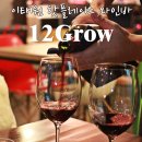 이태원 핫플레이스 12grow/12그로우 와인바에서 ♥
