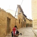 티타스 짐 | [산티아고 순례길 15일차] 온따나스 - 보아디야 델 카미노