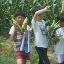 구미초교 이미지