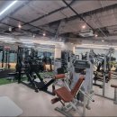 프로피티 이미지